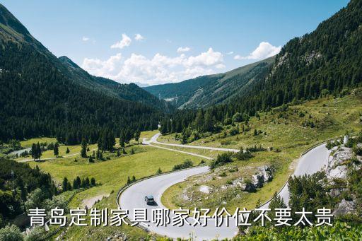 定制家居圖片大全 效果圖，青島定制家具哪家好價位不要太貴...